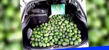 двойка