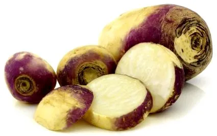 tulajdonsága