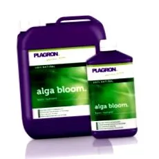 plagron