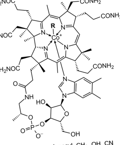 vissza
