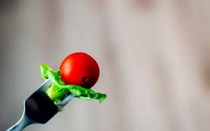 tippek