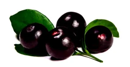 acai