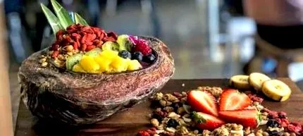 vegan