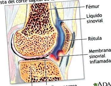 medlineplus