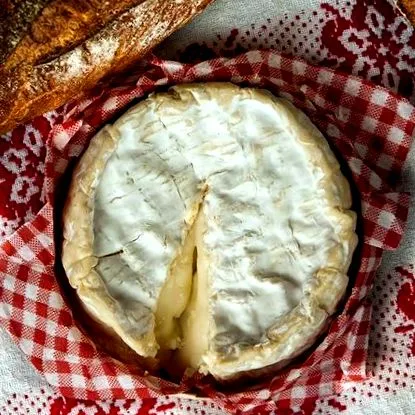 Brie Camembert