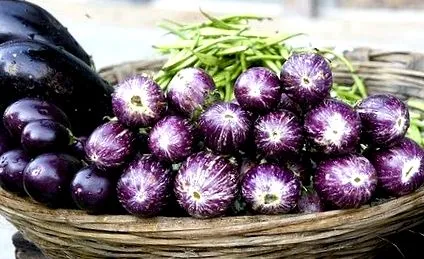 патладжана