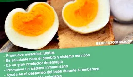 avícola