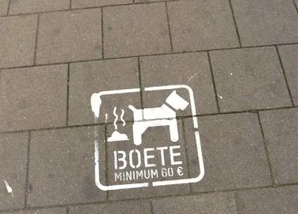причини