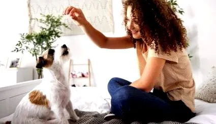 ключове