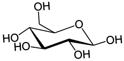 mediterrán
