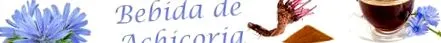cikória