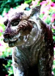 okos