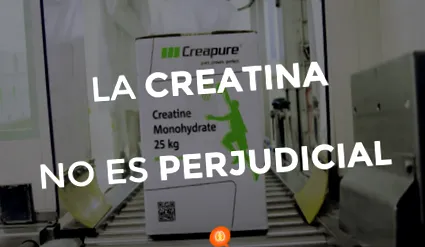creatine