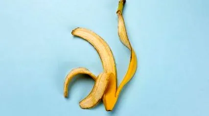 блога