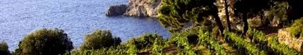 maremma