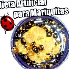 értékesítése