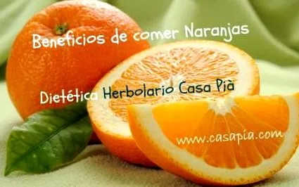 blogja
