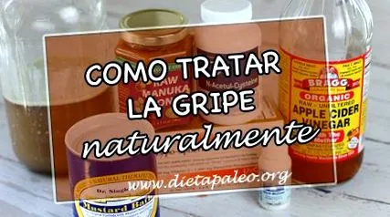 палео