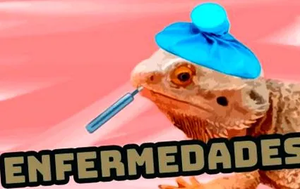 gyümölcsök zöldségek
