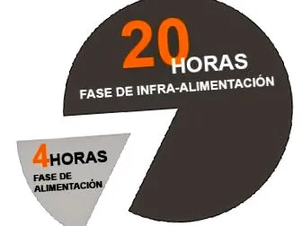 álló