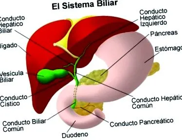 biliáris