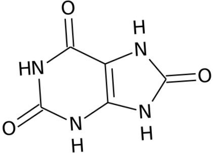 húgysav