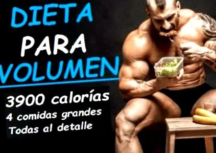 nutri4train