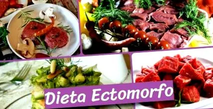 ectomorph