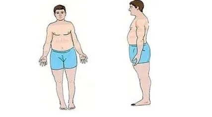 endomorph