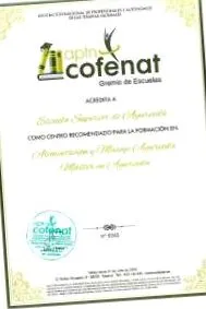 āyurveda