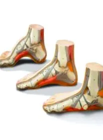 állapotok betegségek
