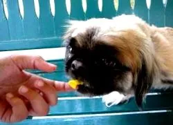 лимфом