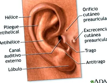 medlineplus