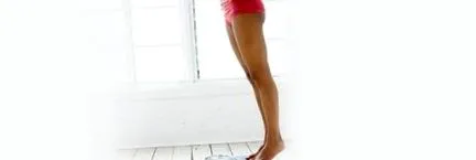fehérje