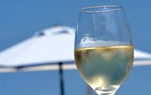 vinos