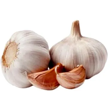 altudog