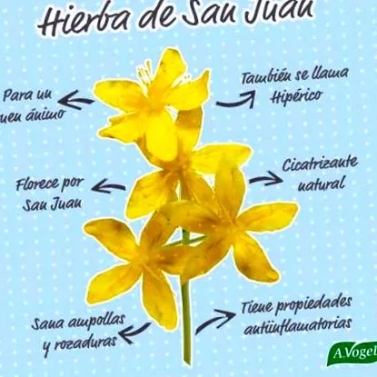 juan-ban