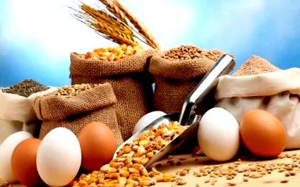 étrendben