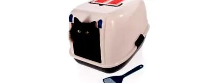 котешки