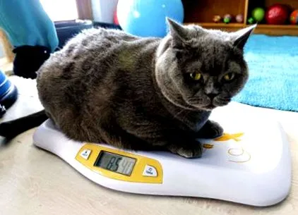 pilates