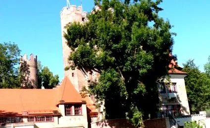 münchenben