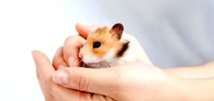 блог