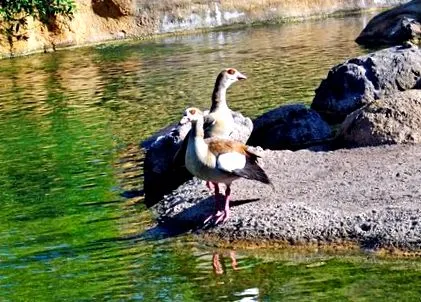 bioparc