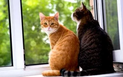 хранене