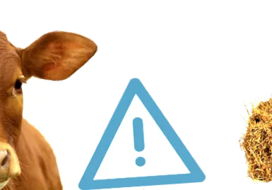 угояването