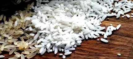 cuidateplus