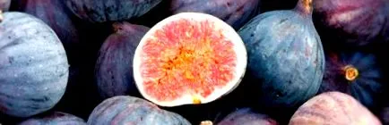 fruit
