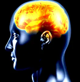 mentális