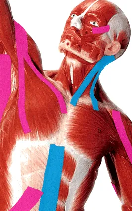 vagy