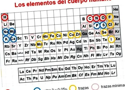 periódusos